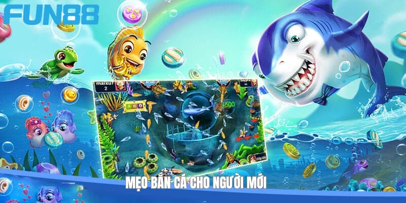 Các cách chơi cho người mới Các cách chơi cho người mới