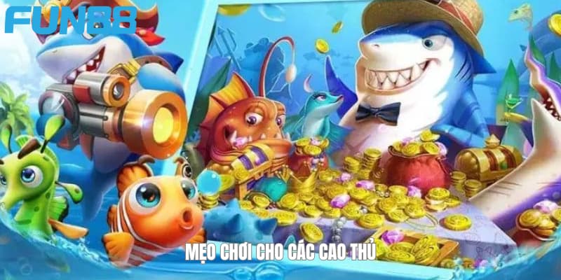 Khai súng theo đàn cá Khai súng theo đàn cá