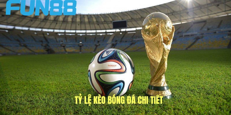 Mỗi người cần hiểu rõ về tỷ lệ từng loại kèo trước khi cược Mỗi người cần hiểu rõ về tỷ lệ từng loại kèo trước khi cược